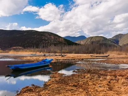 Casilando Casino App Mobile